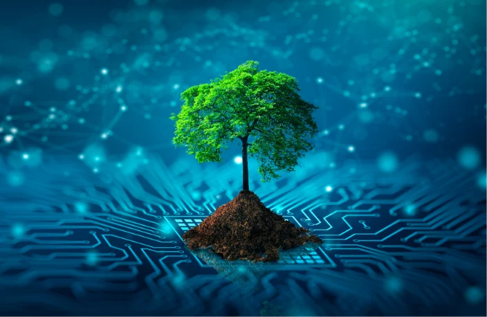 numeco expertise green it